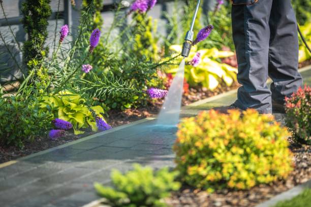 Reliable Texarkana, AR Pressure Washing Solutions